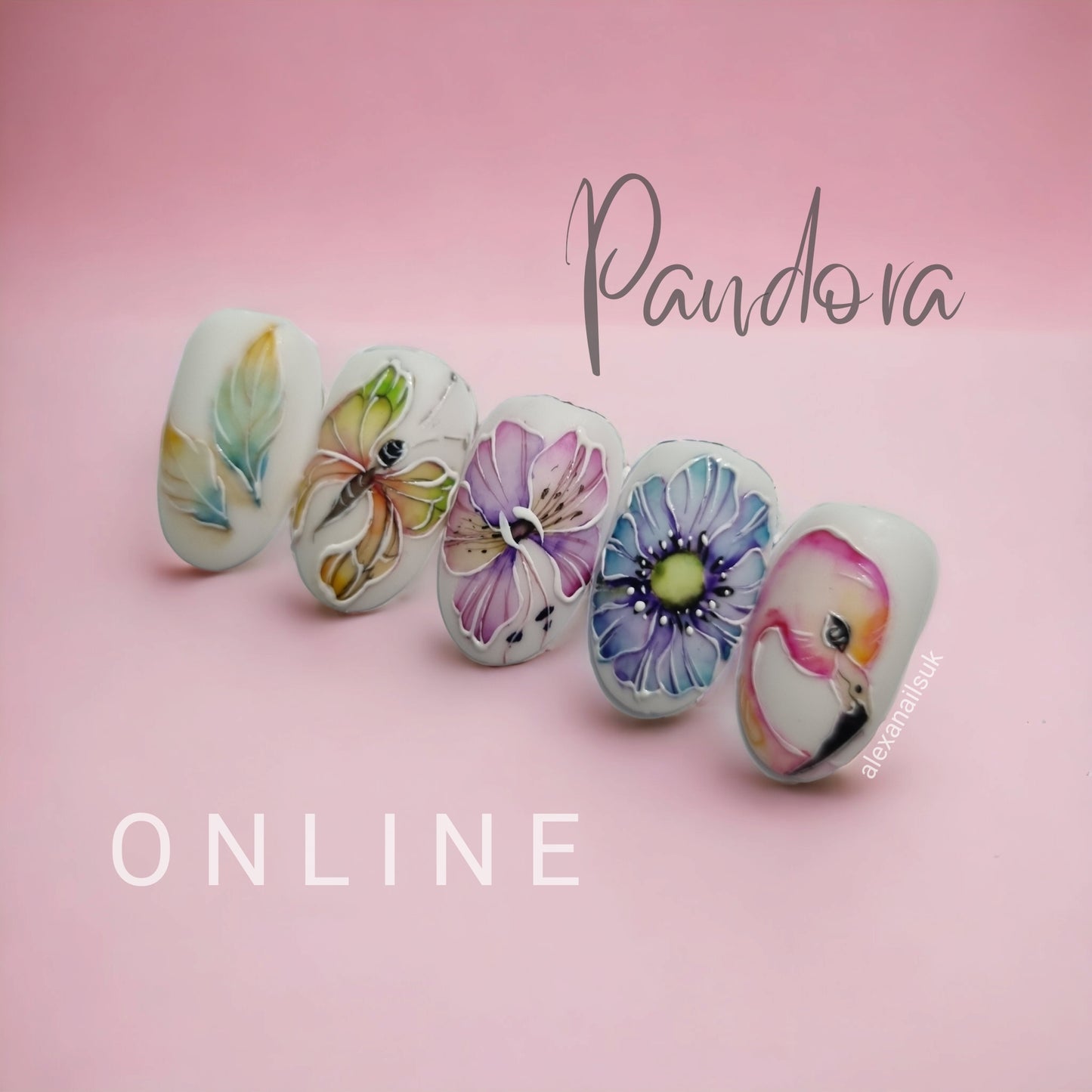 Pandora art (Salon use)