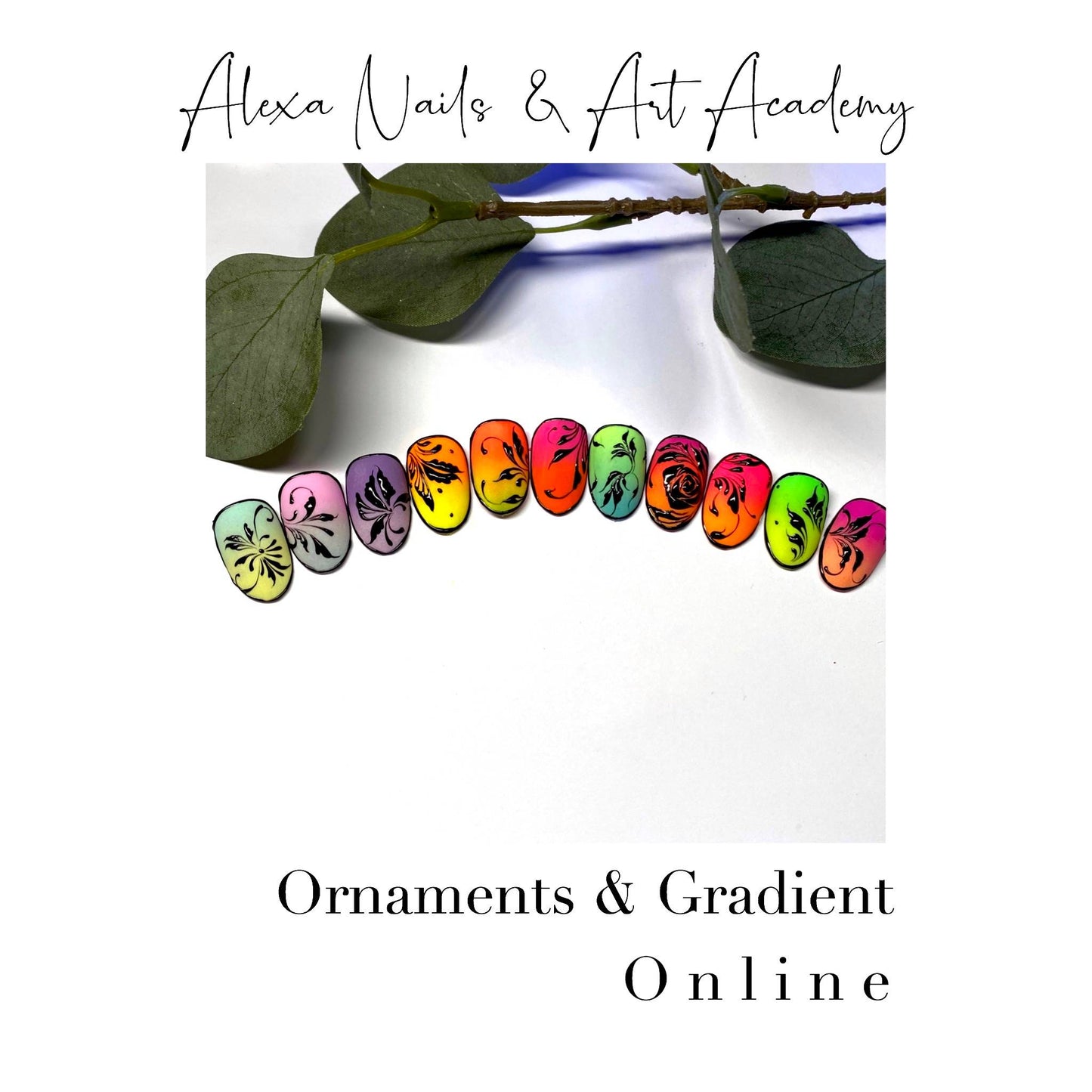 Ornaments & Gradient (For Salon use)